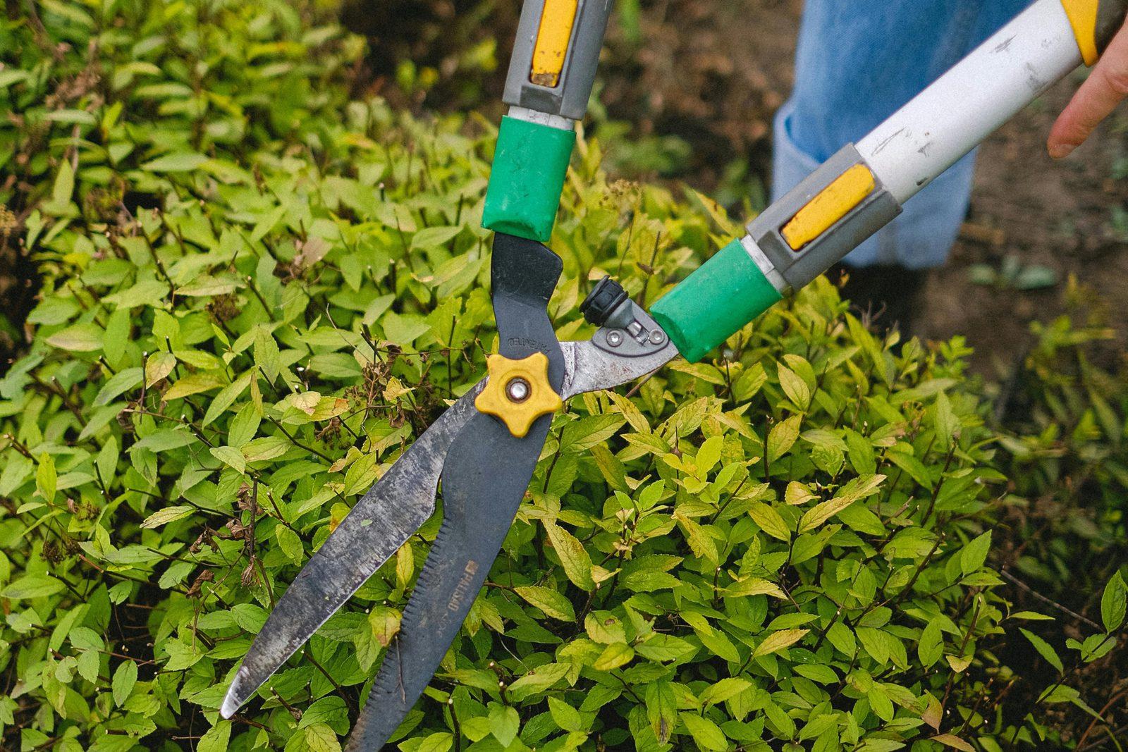 Gartenpflege in Essen — Beban Clean Gebäudereinigung im Einsatz